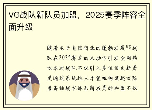 VG战队新队员加盟，2025赛季阵容全面升级